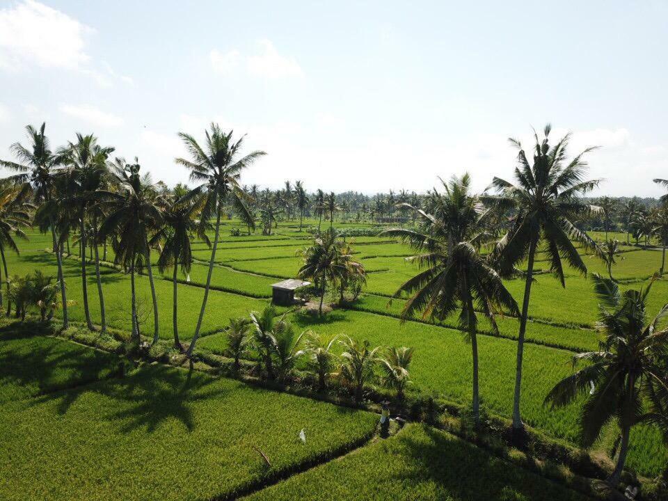 The Sawah Resort & Villa Ubud  Exterior photo