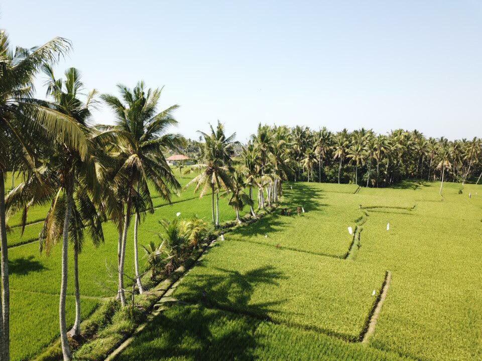 The Sawah Resort & Villa Ubud  Exterior photo