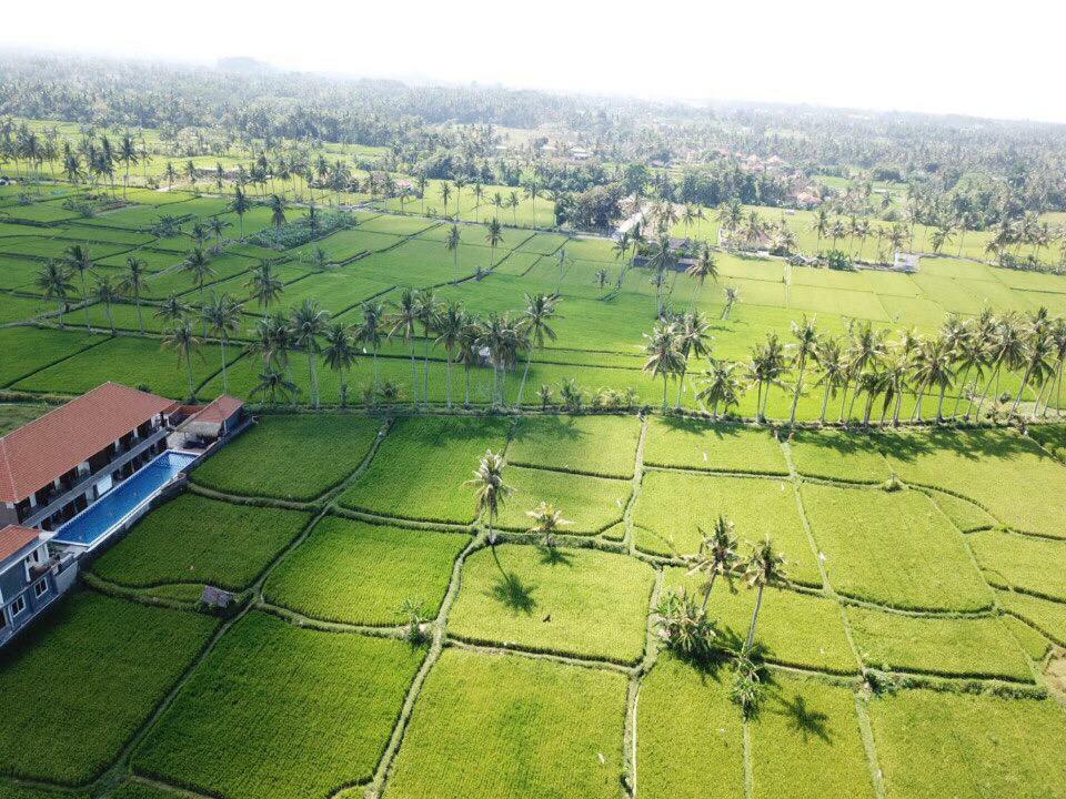 The Sawah Resort & Villa Ubud  Exterior photo